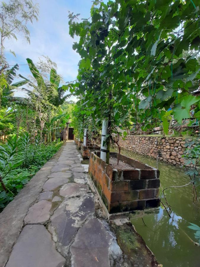Jeju Cottages Kuta  エクステリア 写真